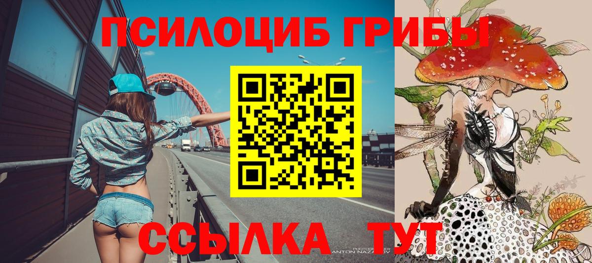 Псилоцибиновые грибы Magic Shrooms Медногорск