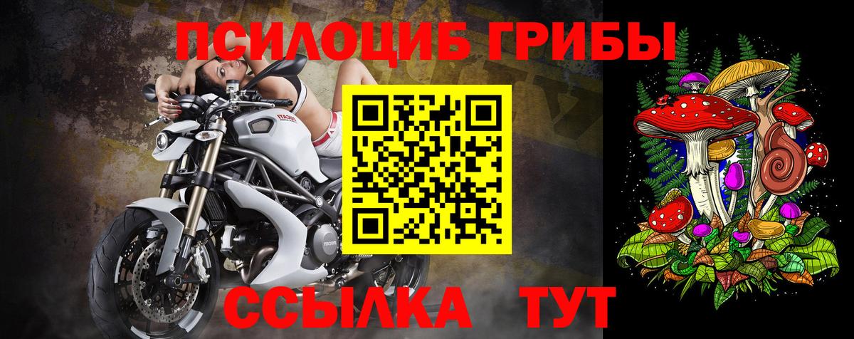 Галлюциногенные грибы мицелий  купить   Медногорск  Вход с VPN  Галлюциногенные грибы MAGIC MUSHROOMS 